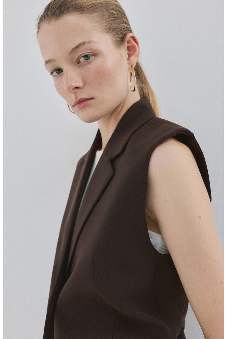 Notch Lapel Vest, Alternate, color, BROWN