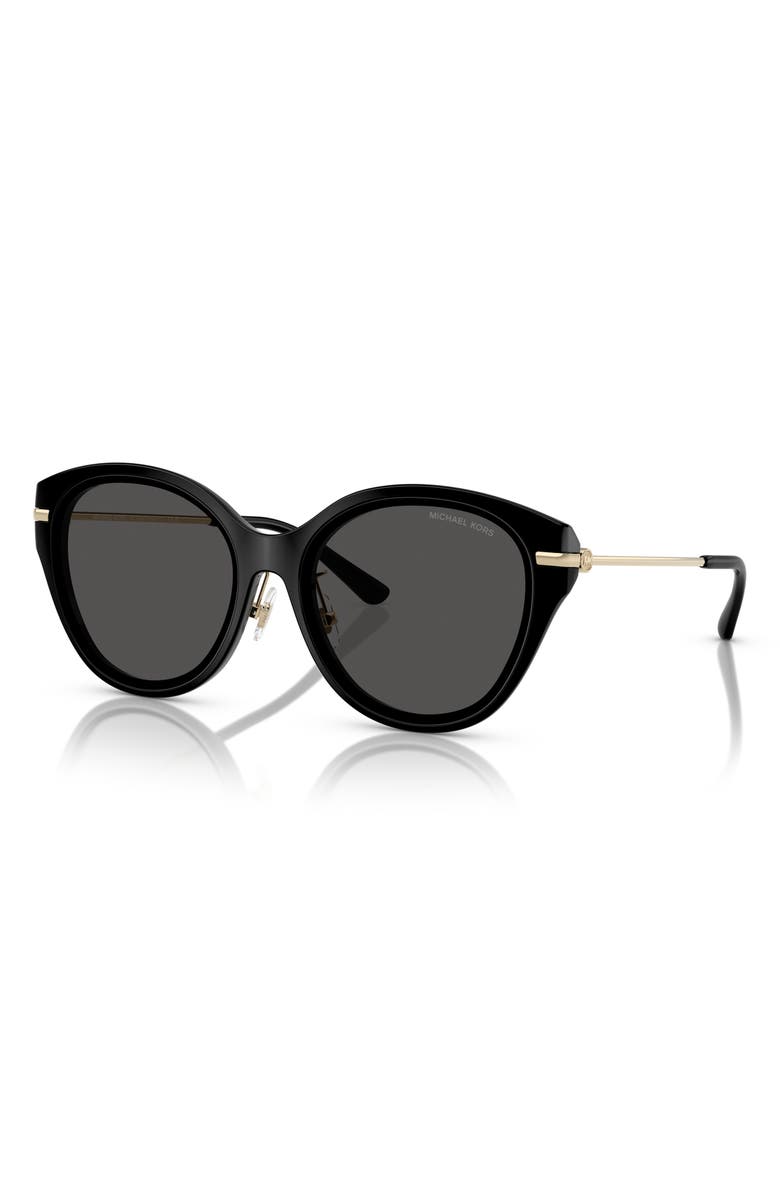 Michael Kors 59mm Round Sunglasses, Alternate, color, Black