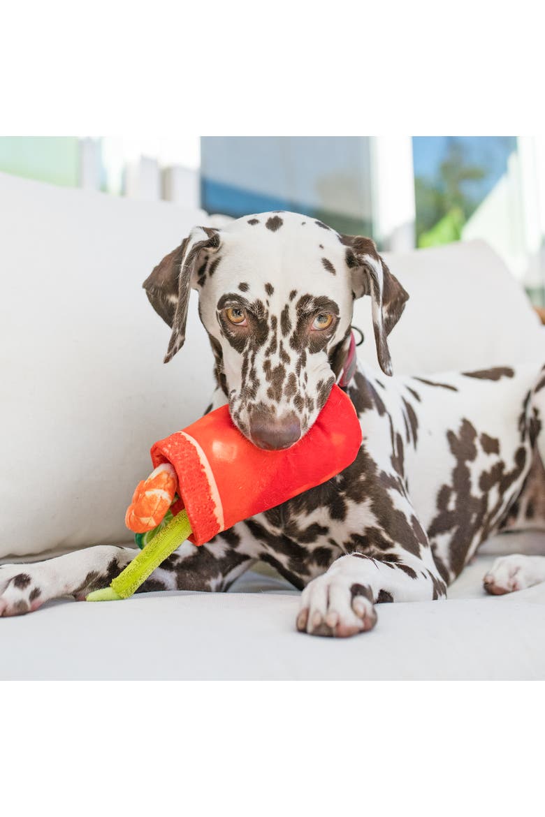 Barking Brunch Buddy Mary, Plush Dog Toy, Crunchy Bottle & Crinkle, Alternate, color, Multicolored