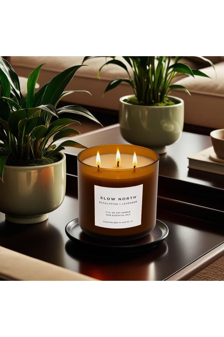 Eucalyptus + Lavender - Signature 3-Wick Candle, Alternate, color, Brown