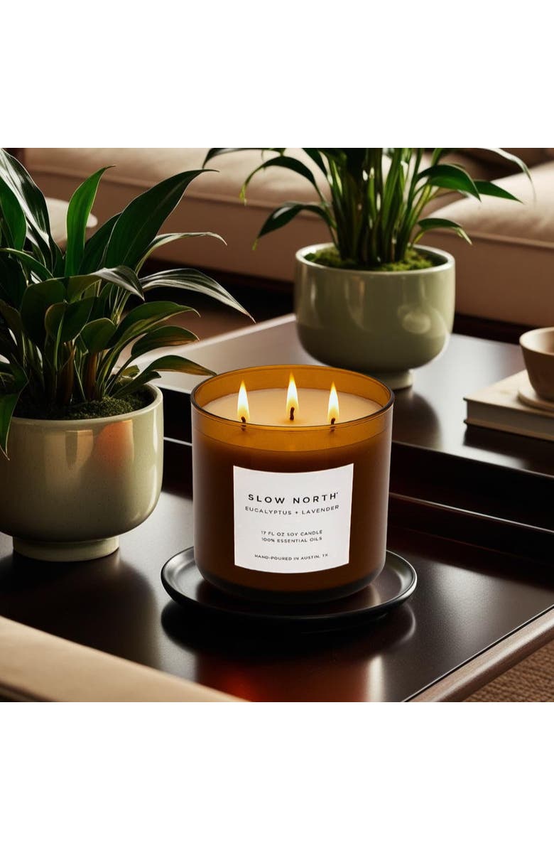 SLOW NORTH Eucalyptus + Lavender - Signature 3-Wick Candle, Alternate, color, Brown