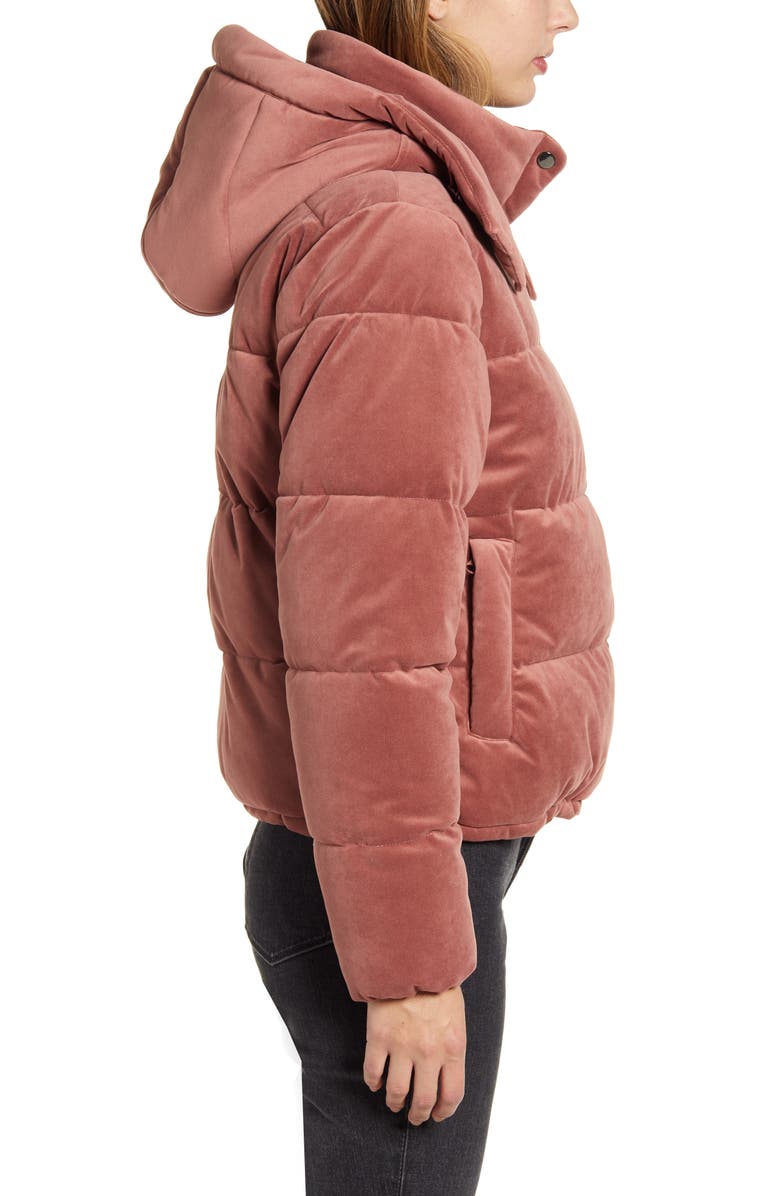 Rachel Parcell Velvet Puffer Coat, Alternate, color, 