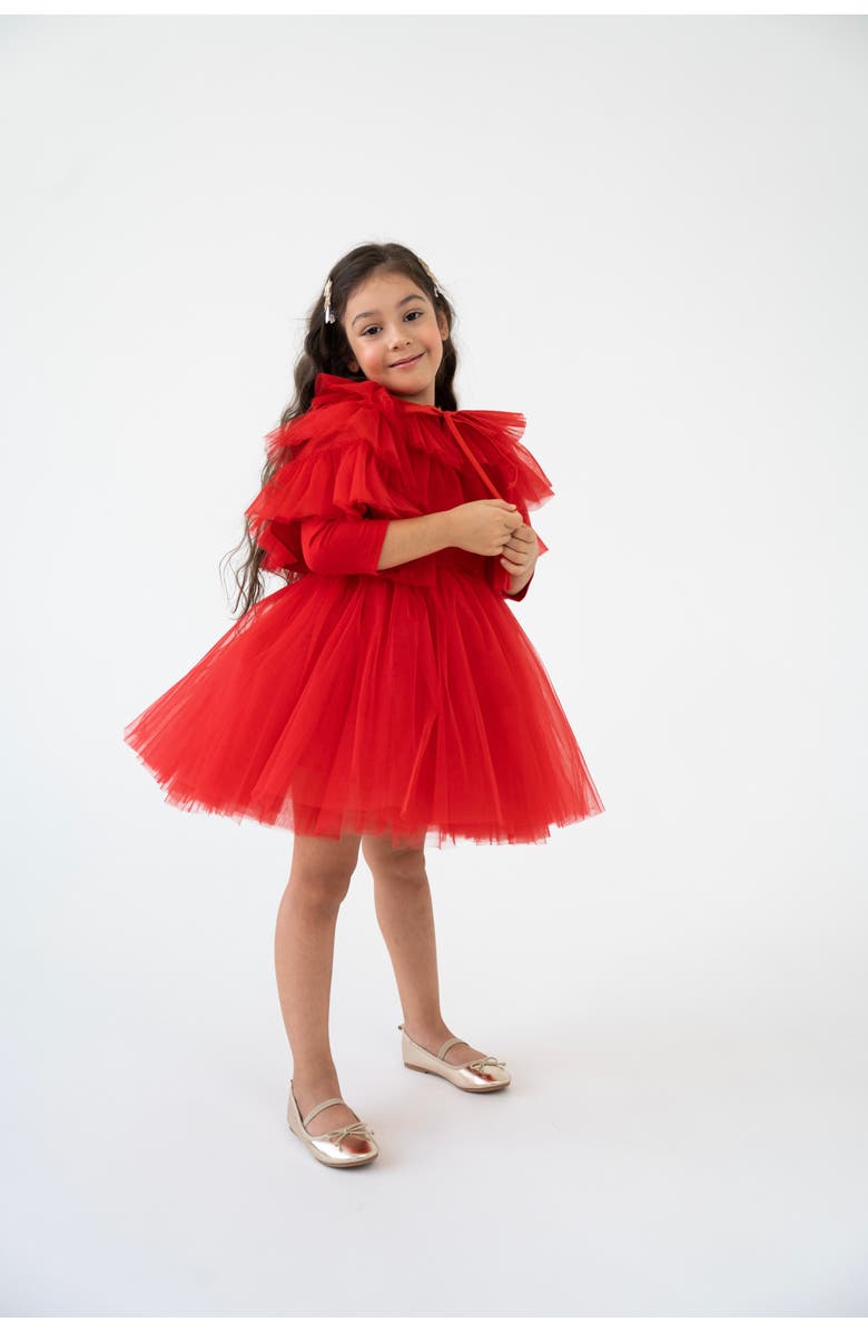 Mini Celebrities Heart Tulle Dress Set, Alternate, color, Red Love