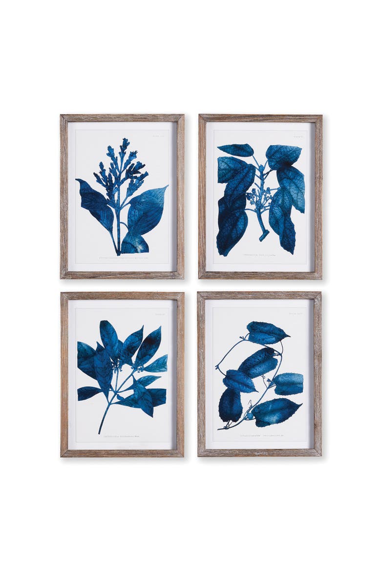 Indigo Botanicals Set of 4, Main, color, Blue