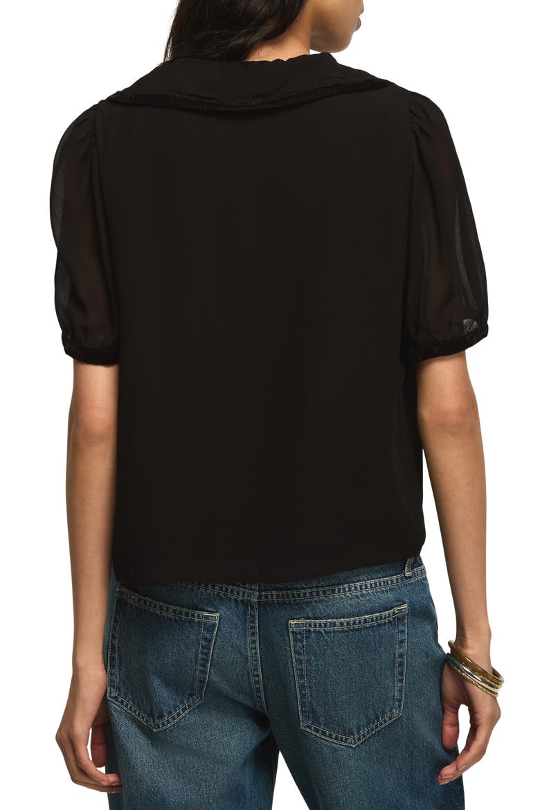 Velvet Trim Peter Pan Collar Blouse, Alternate, color, CAVIAR