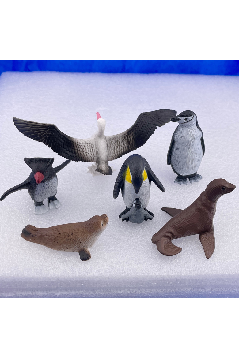Antarctica Toy, Alternate, color, No Color