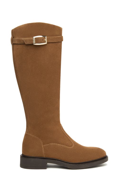 Nerogiardini Buckle Riding Boot In Brown