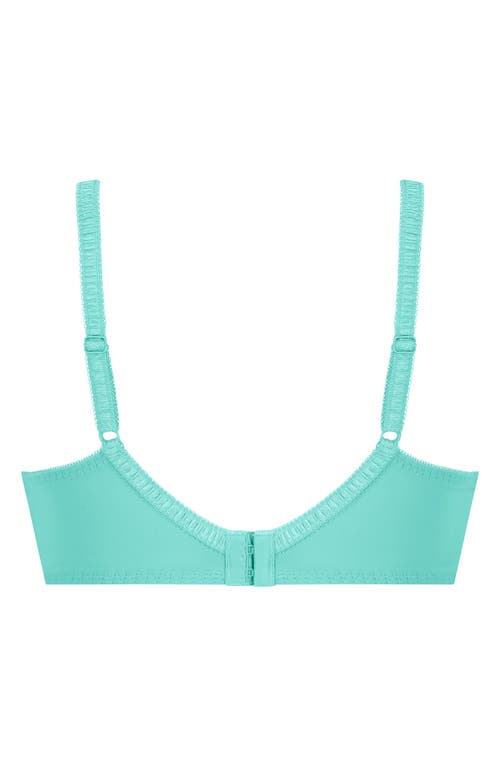 HUNKEMOLLER HUNKEMÖLLER DIVA EMBRODIERED MESH UNDERWIRE BRA 