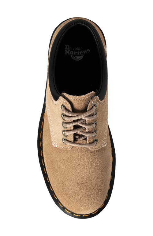 Dr. Martens 8053 Plain Toe Derby In Brown