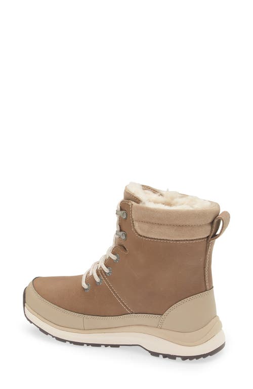 Ugg ® Zaydie Waterproof Boot In Animal Print