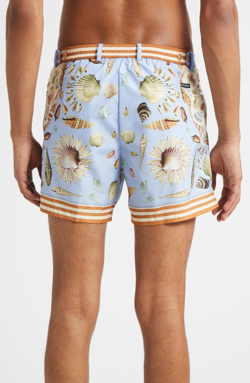 Dolce & Gabbana Dolce&gabbana Shell Print Swim Trunks In Blue