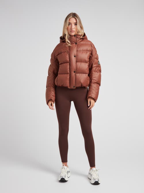 Jack1t Cloud Boss Hooded Puffer Jacket In Brown