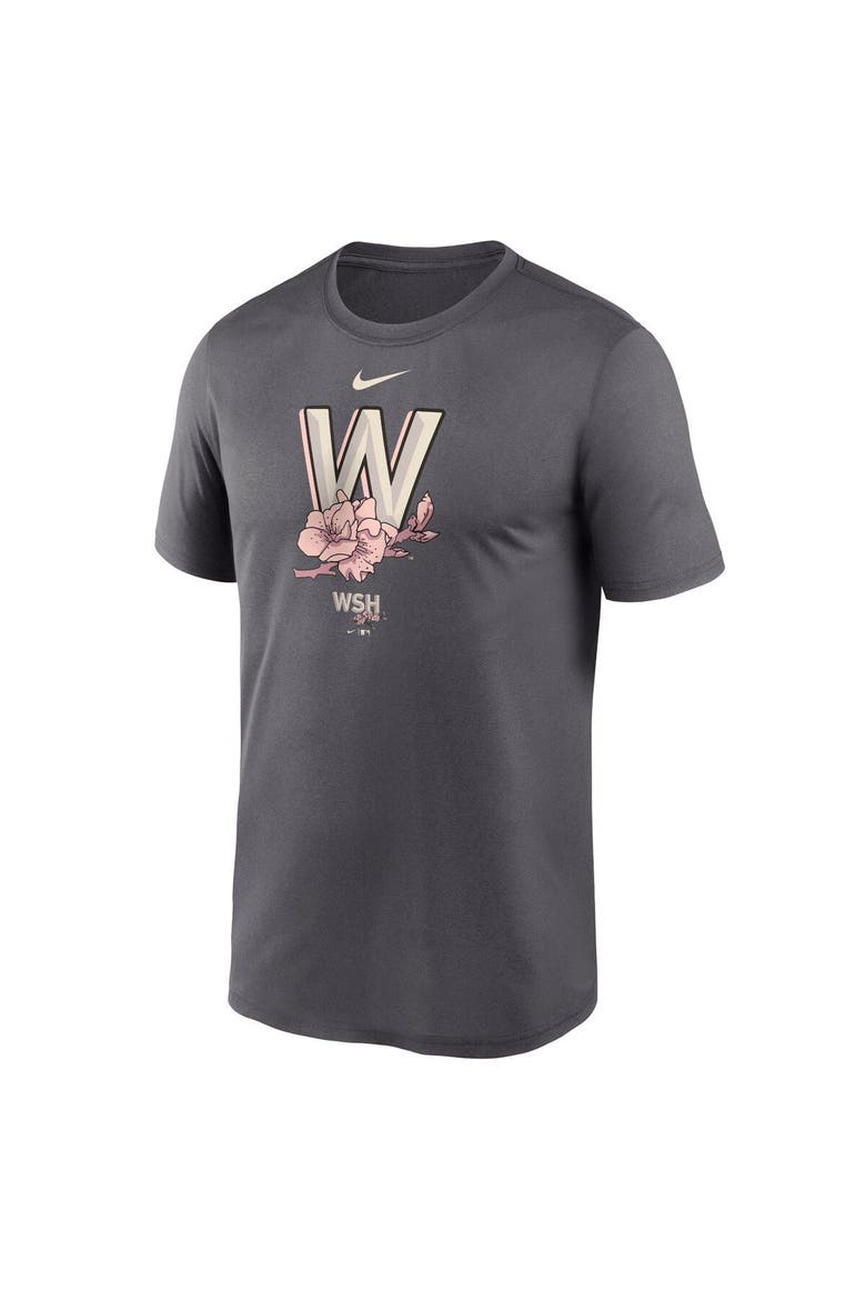 Men's Nike Gray Washington Nationals City Connect Logo T-Shirt, Alternate, color, Gray