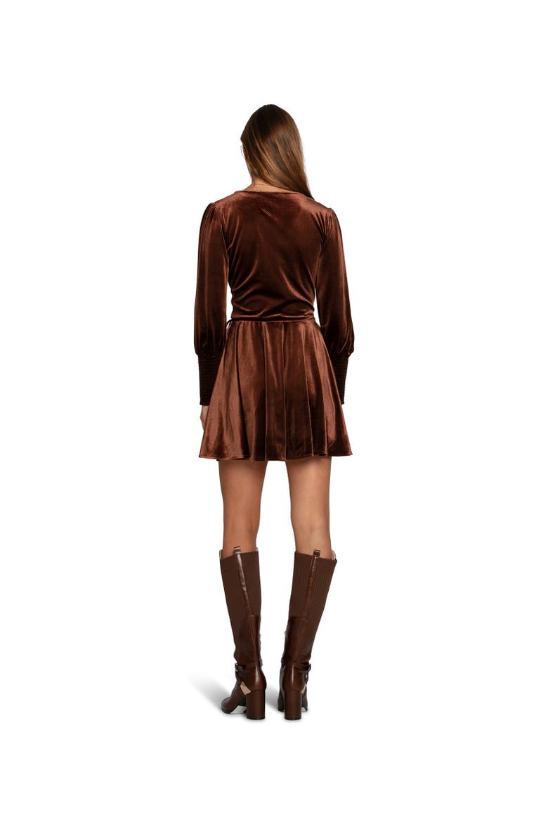 Loved You First Velvet Mini Dress, Alternate, color, Dark Brown