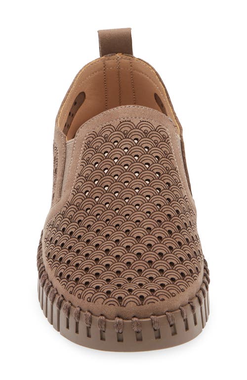 Ilse Jacobsen Tulip Slip-on Sneaker In Brown