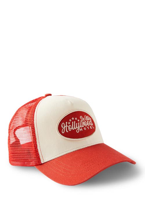 Cotton On Trucker Hat