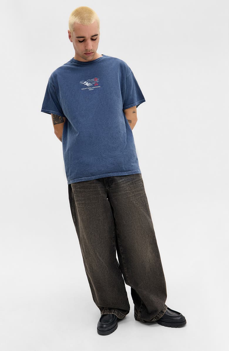 BDG Urban Outfitters Mount Haku Cotton Graphic T-Shirt, Alternate, color, 