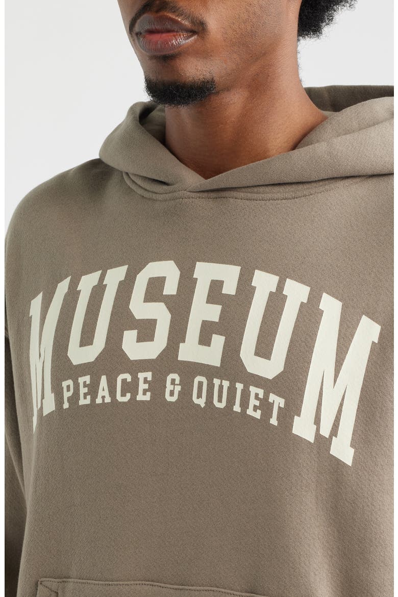 UMPQ Cotton Hoodie, Alternate, color, SEPIA
