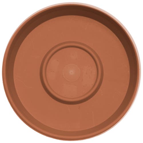 Bloem Terra 20 Inch Resin Saucer In Brown