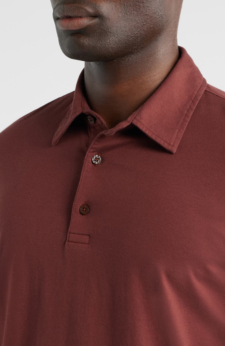 AG Bryce Long Sleeve Polo, Alternate, color, Cranberry