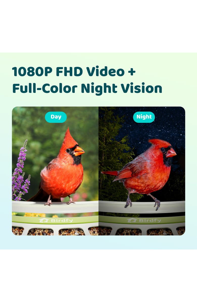 Birdfy Smart Metal Bird Feeder with Camera, Alternate, color, Green