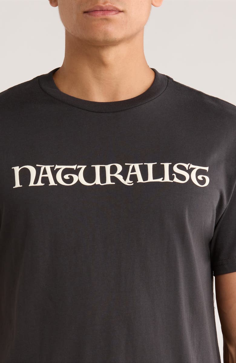 Museum of Peace & Quiet Naturalist Graphic T-Shirt, Alternate, color, Black