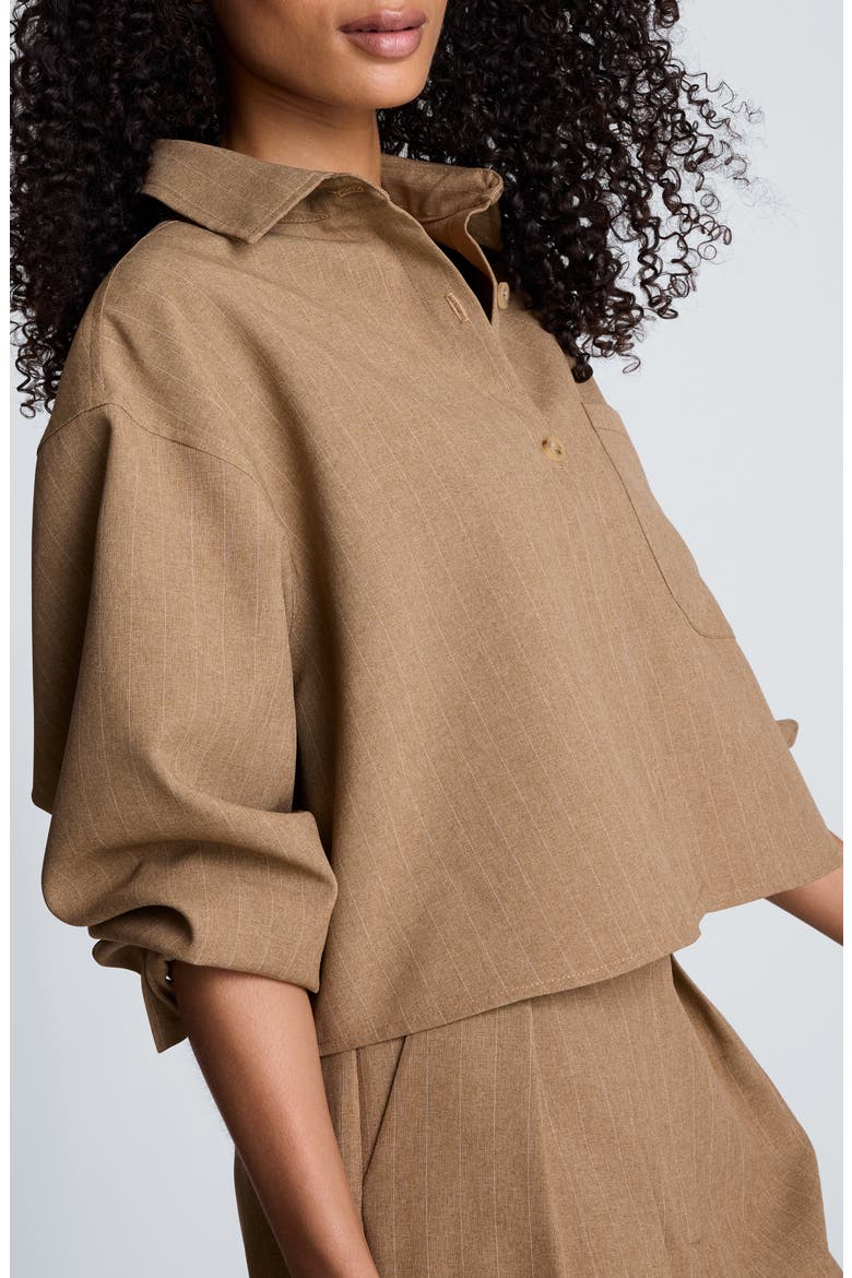 Pinstriped Oversized Cropped Shirt, Alternate, color, PEANUT HEATHER/ OYSTER