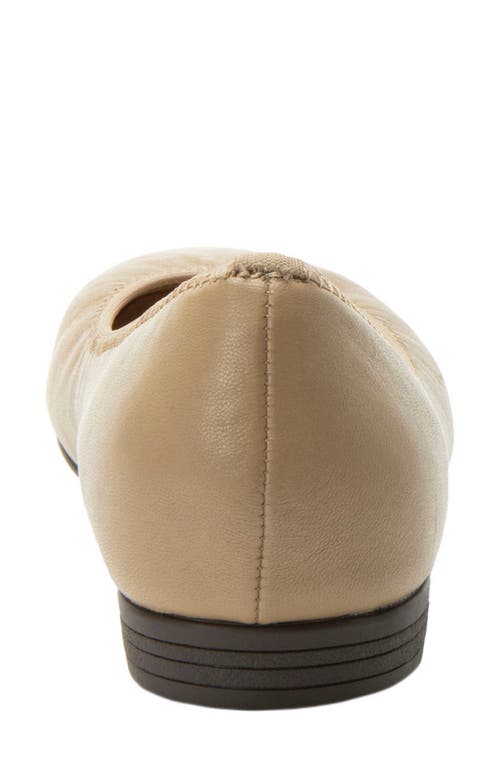 Alegria By Pg Lite Arielle Flat In Sand