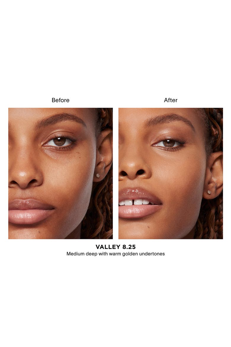 Vanish Airbrush Concealer, Alternate, color, VALLEY 8.25