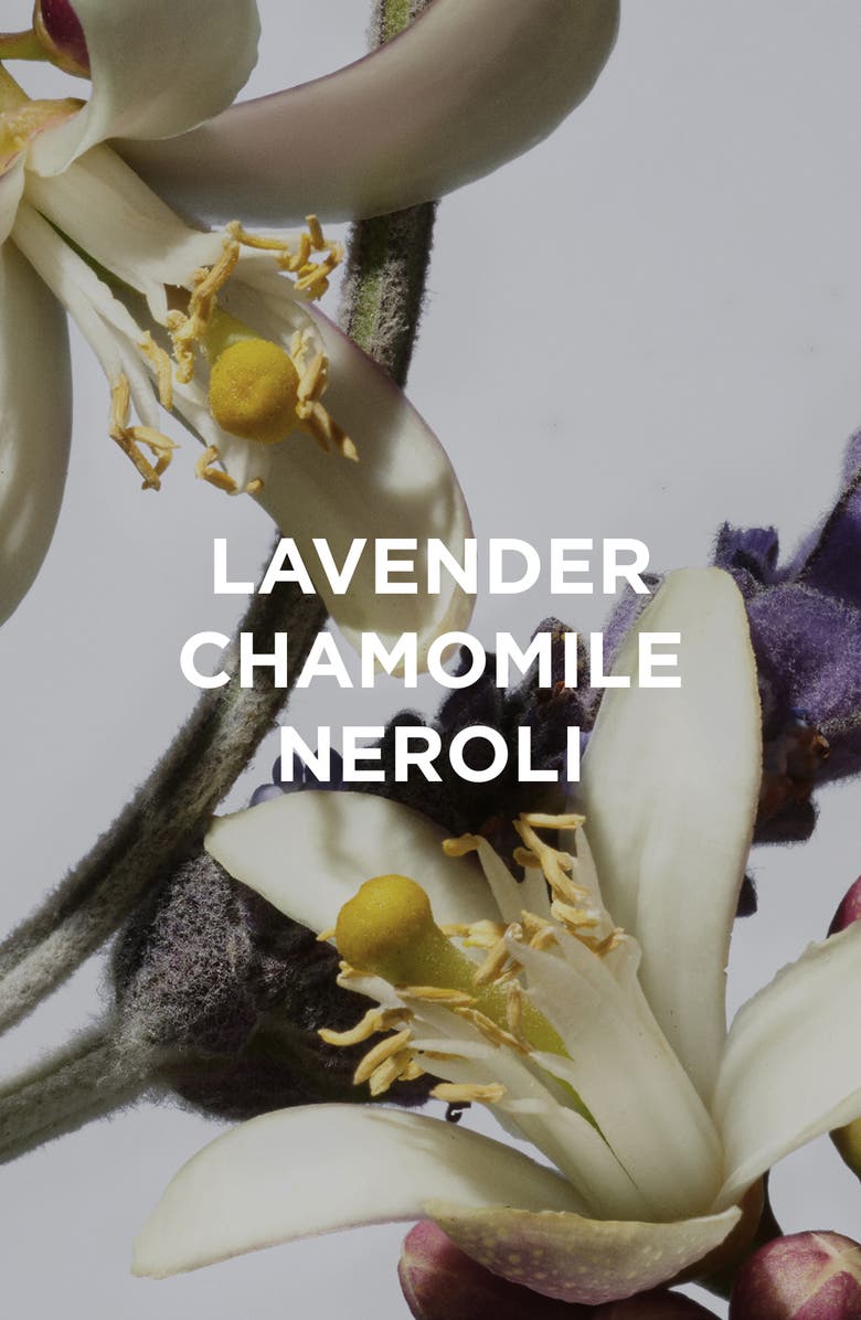 By Rosie Jane Calm Body Milk, Alternate, color,