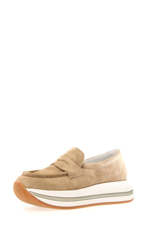 Shop Voile Blanche Merry Penny Loafer In Capacino