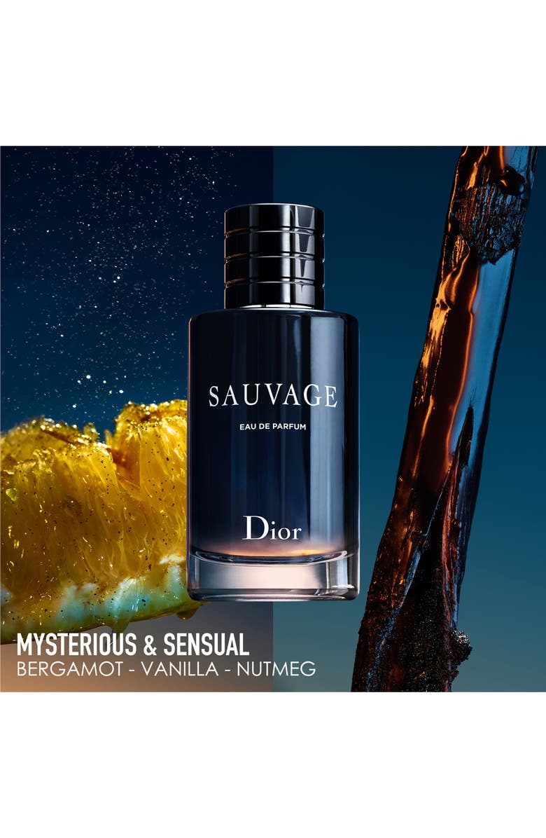 DIOR Sauvage Eau de Parfum Set, Alternate, color, 