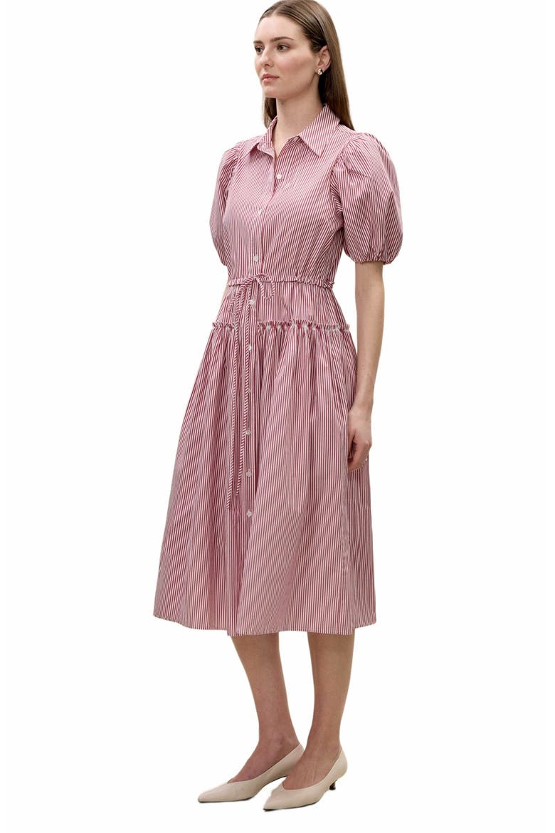 Poplin Shirt Dress, Alternate, color, RED STRIPE
