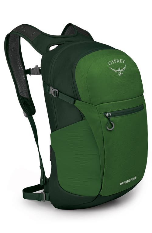 Osprey Daylite Plus Backpack In Green Belt/green Canopy