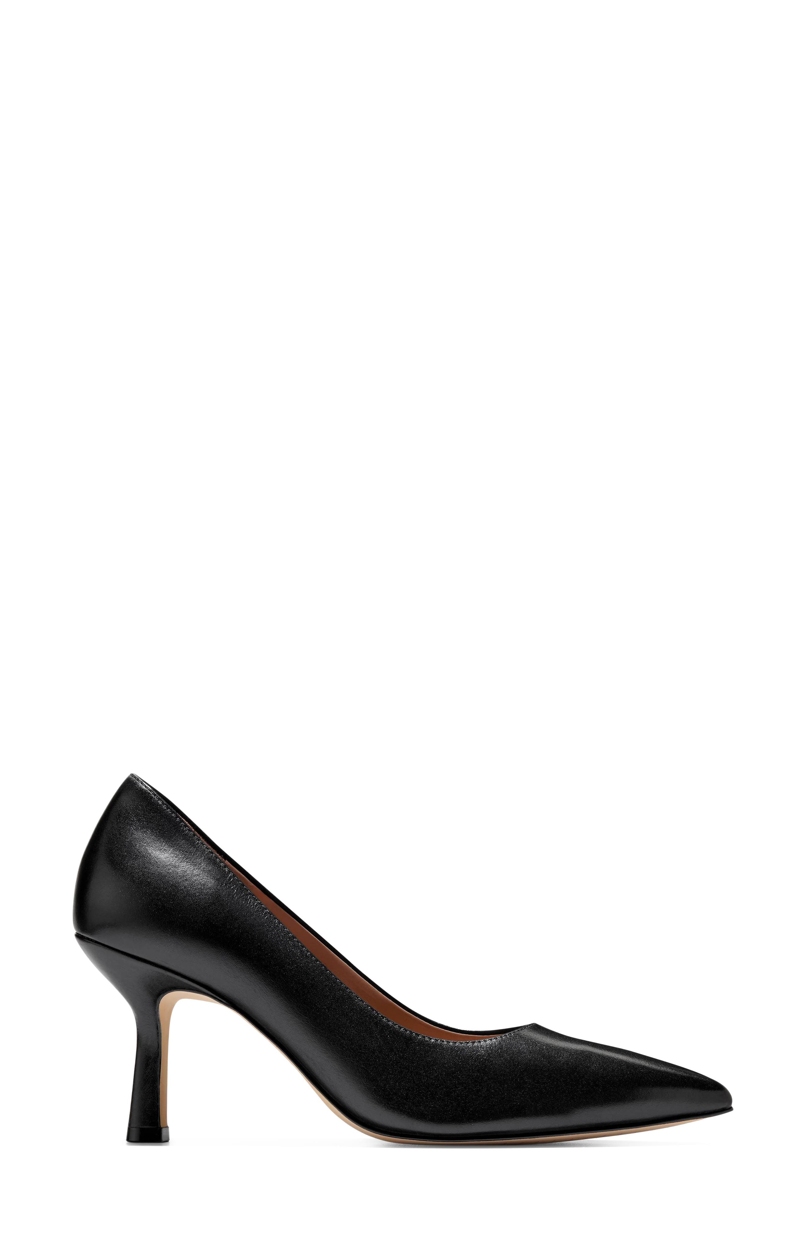 Hansell Pointed Toe Pump, Alternate, color, BLACK LEATHER