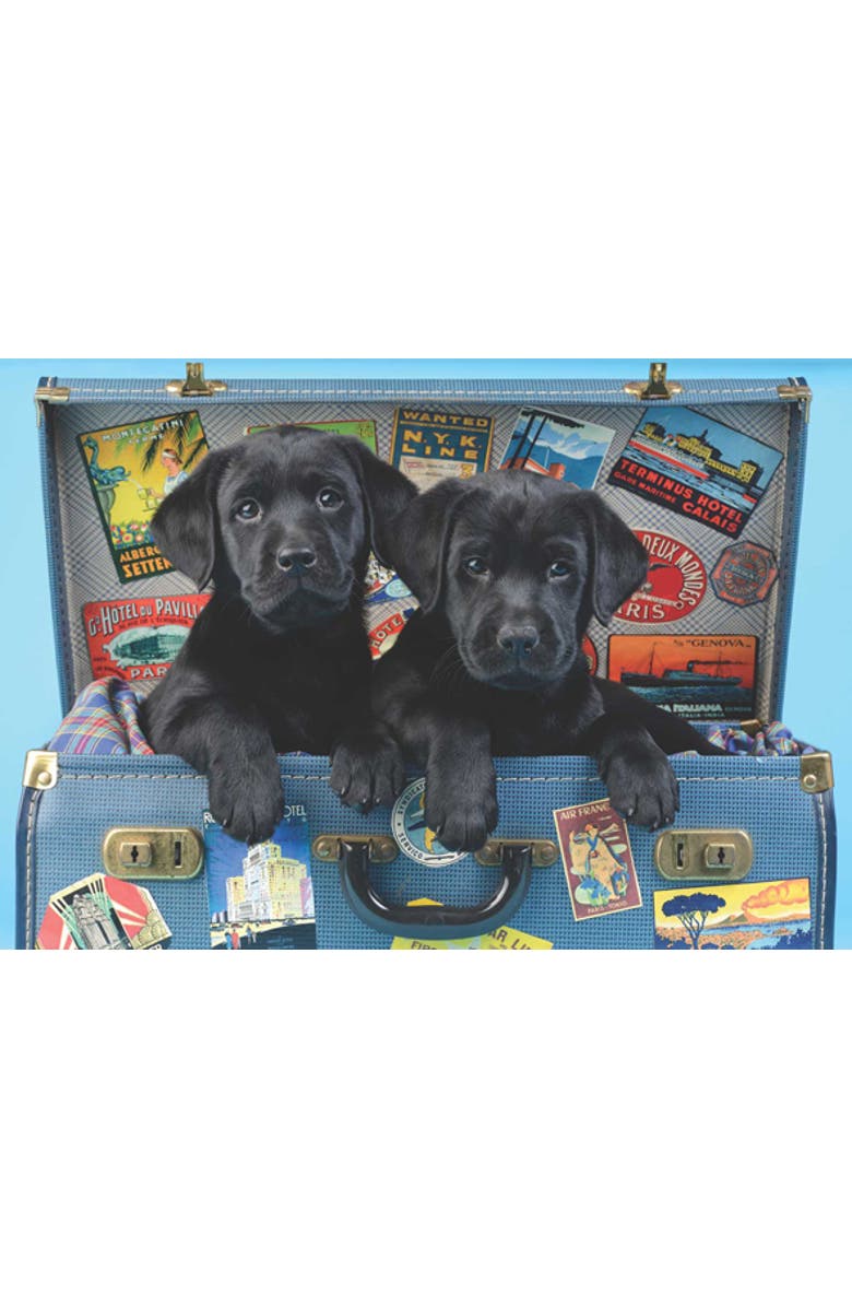 Anatolian Travel Labs 500 piece Jigsaw Puzzle for Adults, Alternate, color, Multicolor