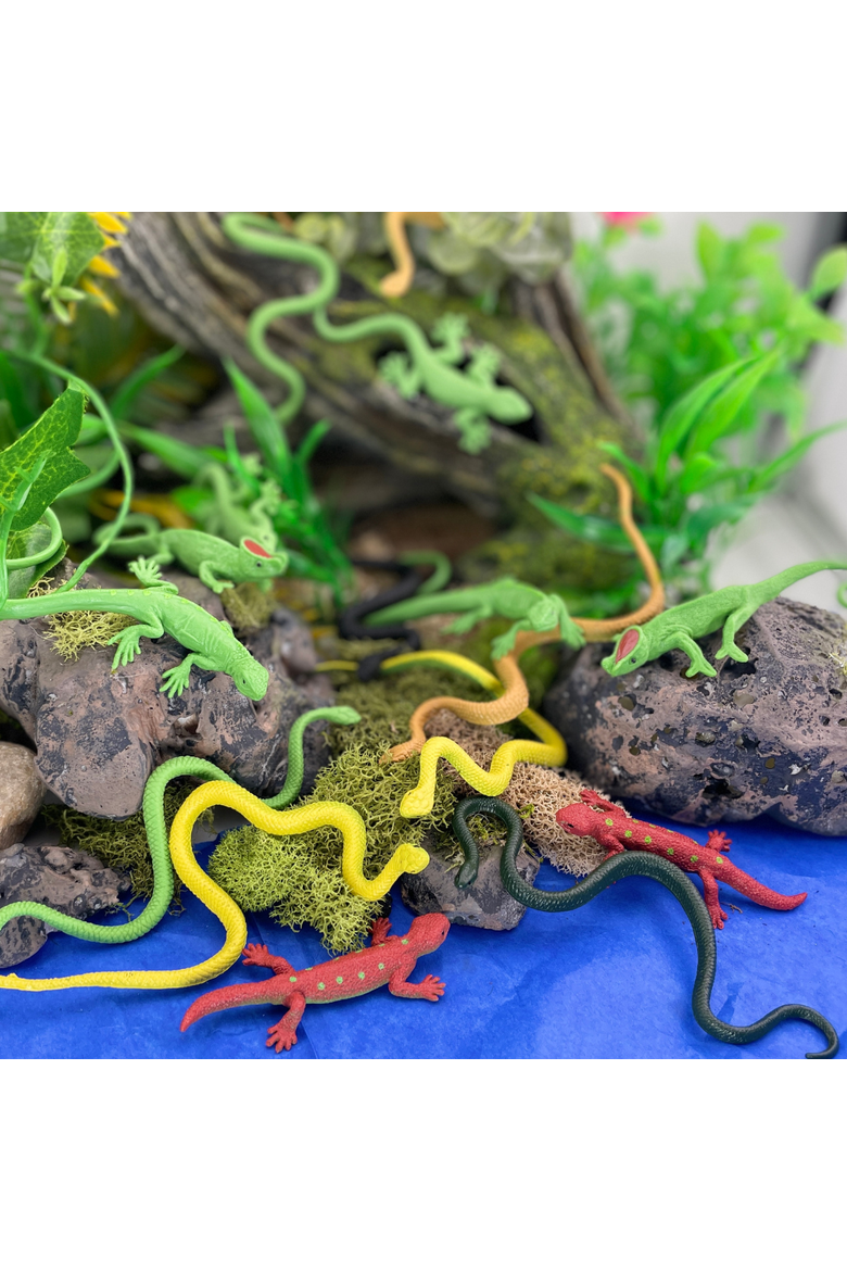 Reptiles Toy, Alternate, color, No Color