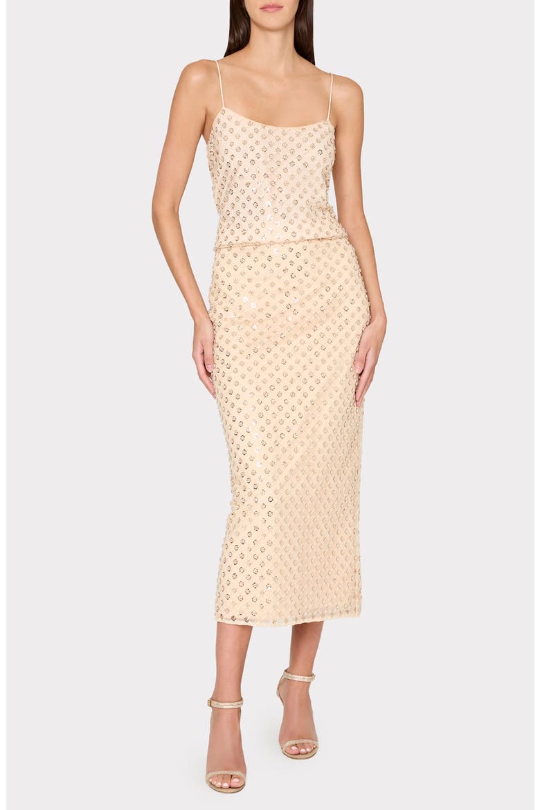 Rosemary Sequin Embroidery Skirt, Main, color, BEIGE