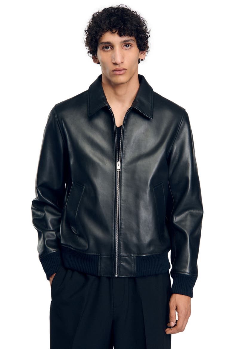 Plain leather jacket, Alternate, color, Black