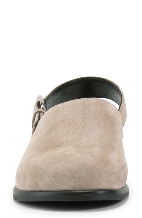 Shop Vagabond Shoemakers Effie Clog In Taupe