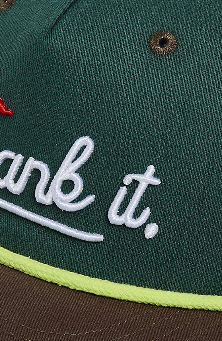 Open Edit Embroidered Baseball Cap, Alternate, color, Shank It