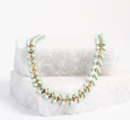 Starfish Project Seeds of Hope Necklace