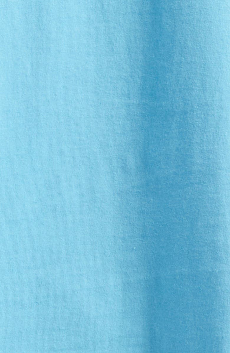 Bode Laketown Graphic T-Shirt, Alternate, color, Blue