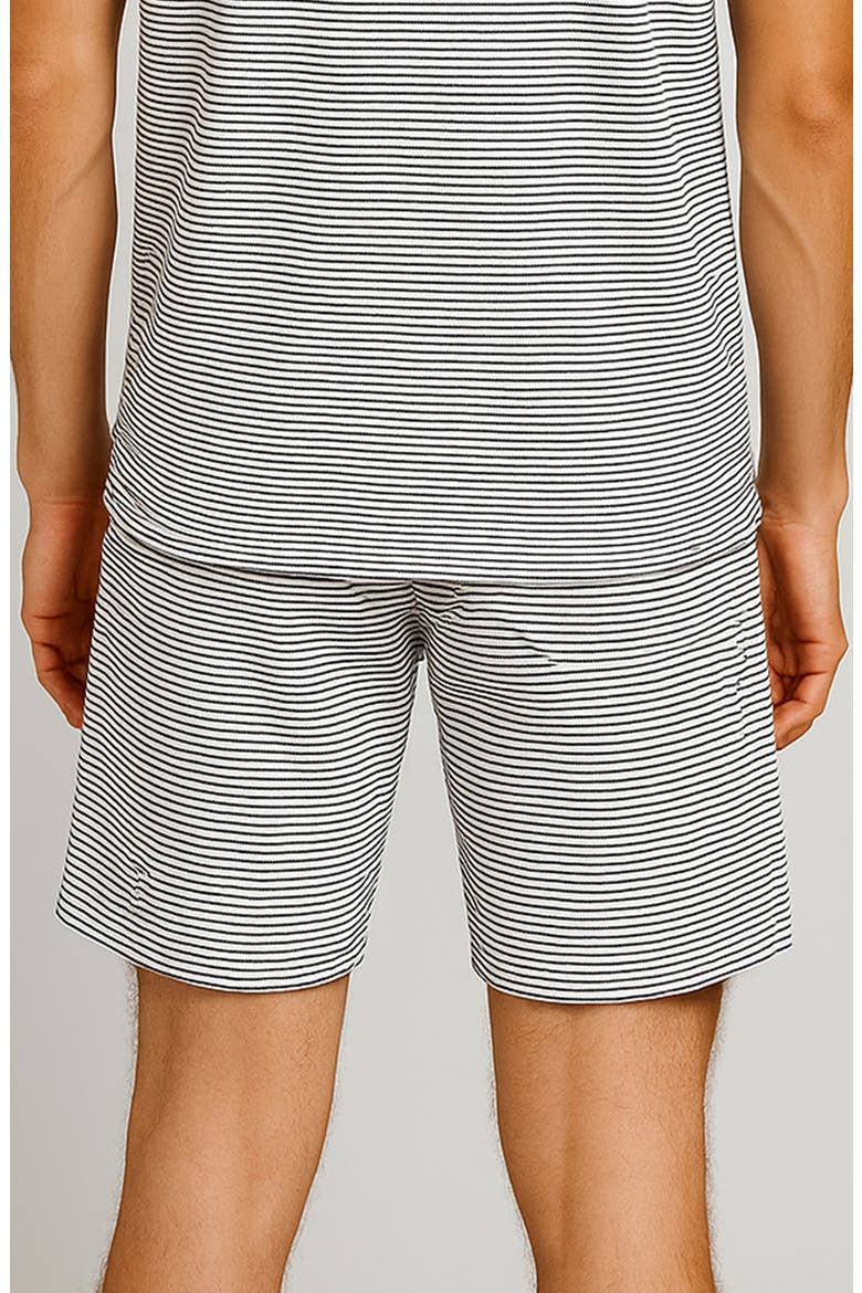 Vacay Stripe Cotton Terry Shorts, Alternate, color, WHITE / BLUE