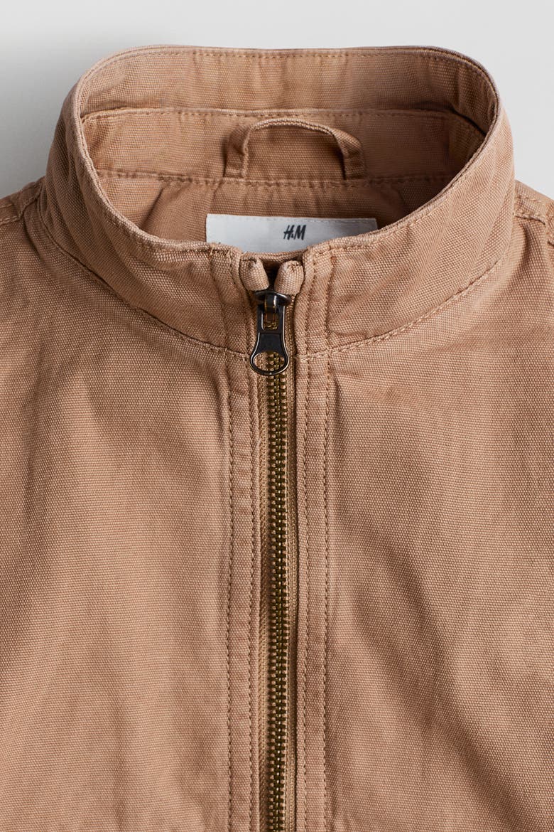 Hooded Canvas Jacket, Alternate, color, Dark beige