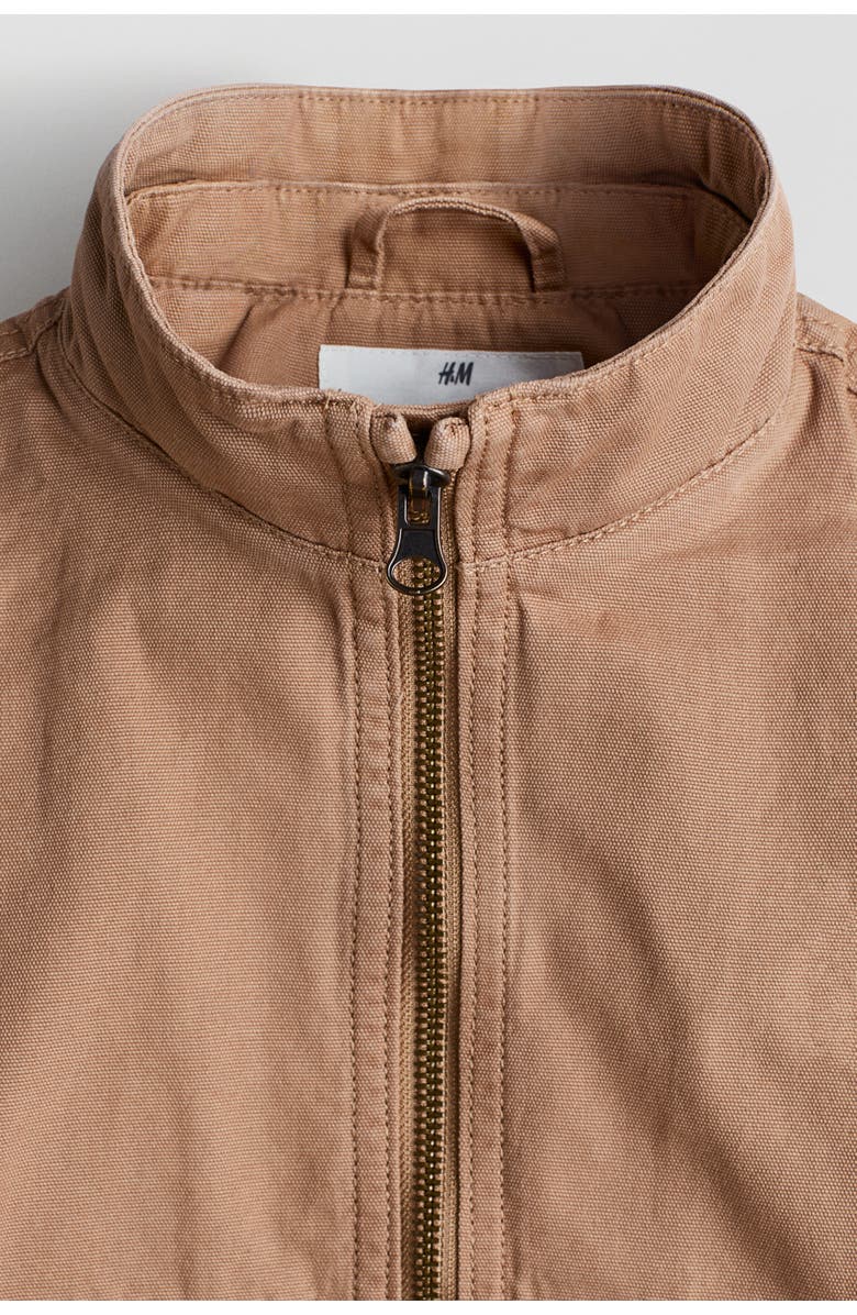 H&M Hooded Canvas Jacket, Alternate, color, Dark Beige