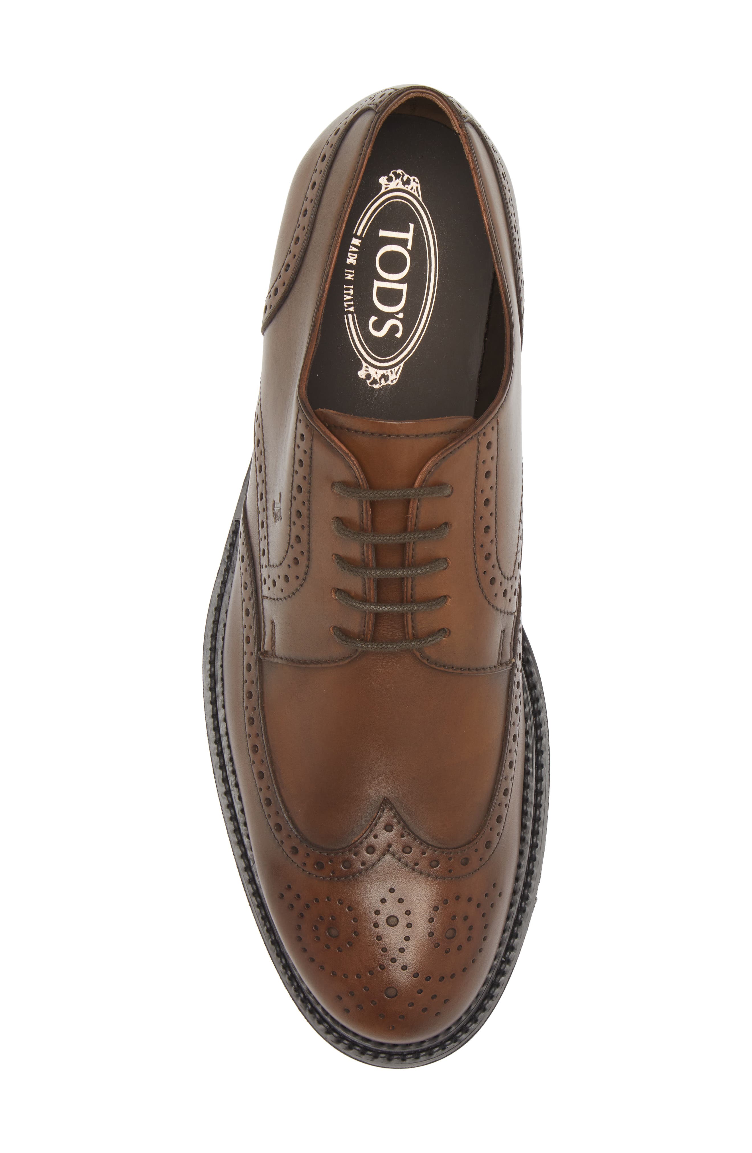 Tod's Brogued Wingtip Derby, Alternate, color, 