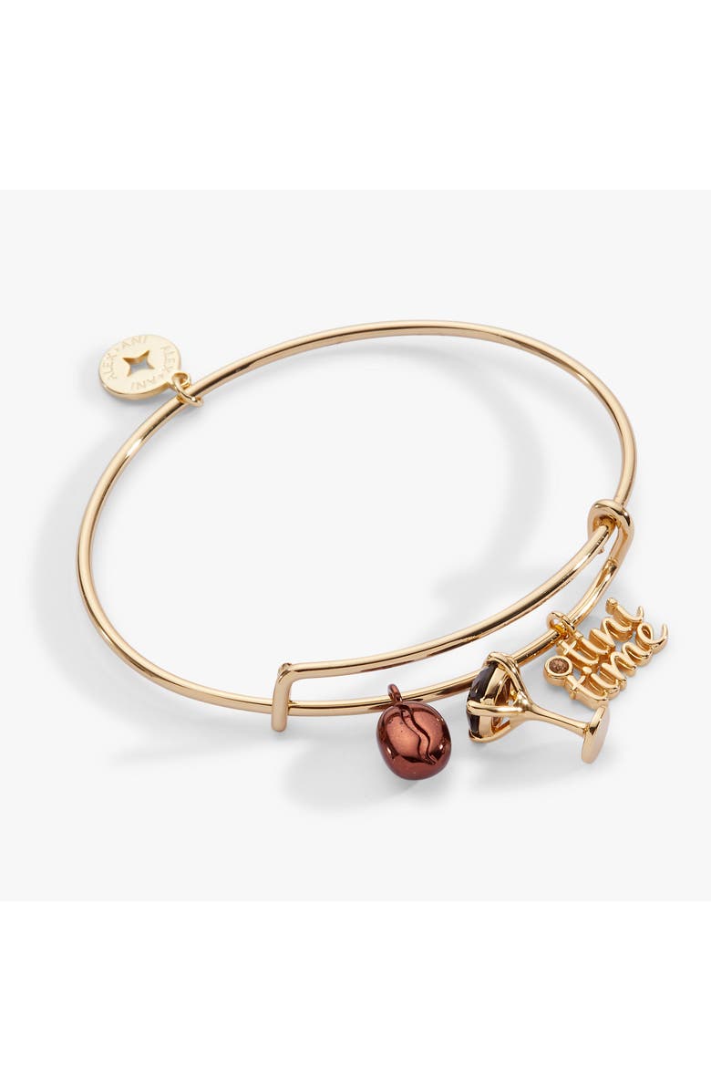 Alex and Ani Espresso Martini Multi Charm Bangle, Main, color, Gold