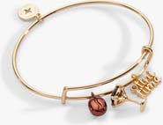 Alex and Ani Espresso Martini Multi Charm Bangle