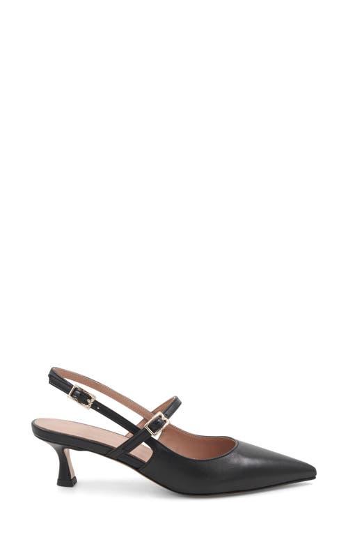 Bruno Magli Luciana Pointed Toe Slingback Pump In Black